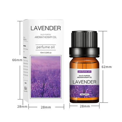 Lavender Essential Oil Aromatherapy